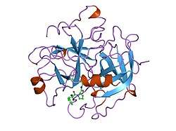 1lhf: HUMAN ALPHA-THROMBIN COMPLEXED WITH AC-(D)PHE-PRO-BORO-HOMOLYS-OH