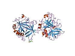 1mh0: Crystal structure of the anticoagulant slow form of thrombin