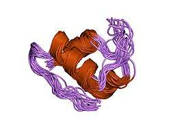 1mhj: SOLUTION STRUCTURE OF THE SUPERACTIVE MONOMERIC DES-[PHE(B25)] HUMAN INSULIN MUTANT. ELUCIDATION OF THE STRUCTURAL BASIS FOR THE MONOMERIZATION OF THE DES-[PHE(B25)] INSULIN AND THE DIMERIZATION OF NATIVE INSULIN