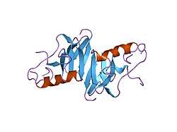 1npo: BOVINE NEUROPHYSIN II COMPLEX WITH OXYTOCIN