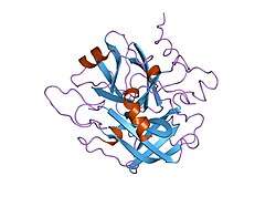 1nrn: CRYSTALLOGRAPHIC STRUCTURES OF THROMBIN COMPLEXED WITH THROMBIN RECEPTOR PEPTIDES: EXISTENCE OF EXPECTED AND NOVEL BINDING MODES
