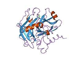 1nrp: CRYSTALLOGRAPHIC STRUCTURES OF THROMBIN COMPLEXED WITH THROMBIN RECEPTOR PEPTIDES: EXISTENCE OF EXPECTED AND NOVEL BINDING MODES