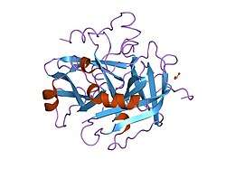 1nrs: CRYSTALLOGRAPHIC STRUCTURES OF THROMBIN COMPLEXED WITH THROMBIN RECEPTOR PEPTIDES: EXISTENCE OF EXPECTED AND NOVEL BINDING MODES