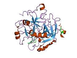 1nt1: thrombin in complex with selective macrocyclic inhibitor