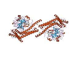 1nu7: Staphylocoagulase-Thrombin Complex