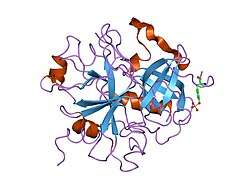 1ny2: Human alpha thrombin inhibited by RPPGF and hirugen