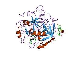 1nzq: D-Phe-Pro-Arg-Type Thrombin Inhibitor