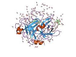 1o5c: Dissecting and Designing Inhibitor Selectivity Determinants at the S1 site Using an Artificial Ala190 Protease (Ala190 uPA)