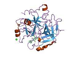 1oyt: COMPLEX OF RECOMBINANT HUMAN THROMBIN WITH A DESIGNED FLUORINATED INHIBITOR