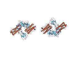 1pgr: 2:2 COMPLEX OF G-CSF WITH ITS RECEPTOR