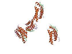 1py2: Structure of a 60 nM Small Molecule Bound to a Hot Spot on IL-2