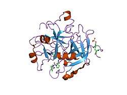 1qbv: CRYSTAL STRUCTURE OF THROMBIN COMPLEXED WITH AN GUANIDINE-MIMETIC INHIBITOR