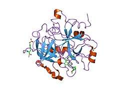 1qj7: NOVEL COVALENT ACTIVE SITE THROMBIN INHIBITORS