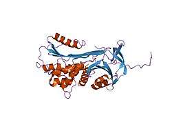 1qmb: CLEAVED ALPHA-1-ANTITRYPSIN POLYMER