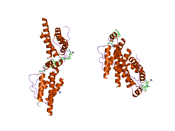 1qvn: Structure of SP4160 Bound to IL-2 V69A
