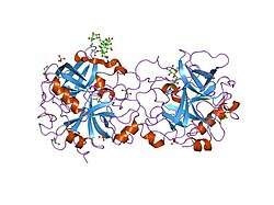 1rd3: 2.5A Structure of Anticoagulant Thrombin Variant E217K