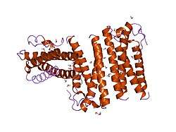 1rhg: THE STRUCTURE OF GRANULOCYTE-COLONY-STIMULATING FACTOR AND ITS RELATIONSHIP TO THOSE OF OTHER GROWTH FACTORS