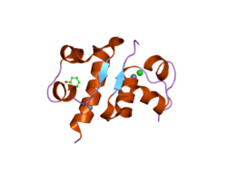 1rwe: Enhancing the activity of insulin at receptor edge: crystal structure and photo-cross-linking of A8 analogues