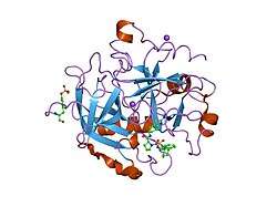 1sb1: Novel Non-Covalent Thrombin Inhibitors Incorporating P1 4,5,6,7-Tetrahydrobenzothiazole Arginine Side Chain Mimetics