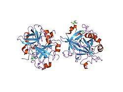 1sfq: Fast form of thrombin mutant R(77a)A bound to PPACK