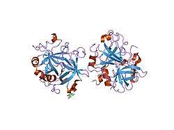 1sgi: Crystal structure of the anticoagulant slow form of thrombin