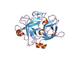 1sqo: Substituted 2-Naphthamidine Inhibitors of Urokinase