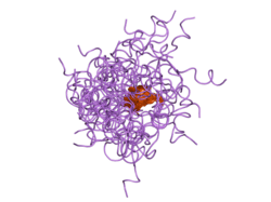 1t0c: Solution Structure of Human Proinsulin C-Peptide