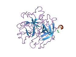 1ths: STRUCTURES OF THROMBIN COMPLEXES WITH A DESIGNED AND A NATURAL EXOSITE INHIBITOR