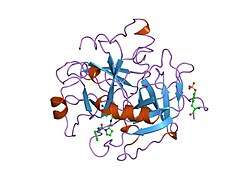 1tom: ALPHA-THROMBIN COMPLEXED WITH HIRUGEN