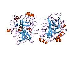 1tq0: Crystal structure of the potent anticoagulant thrombin mutant W215A/E217A in free form
