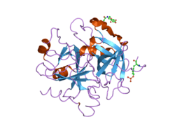 1twx: Crystal structure of the thrombin mutant D221A/D222K