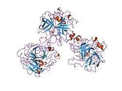 1ucy: THROMBIN COMPLEXED WITH FIBRINOPEPTIDE A ALPHA (RESIDUES 7-19). THREE COMPLEXES, ONE WITH EPSILON-THROMBIN AND TWO WITH ALPHA-THROMBIN