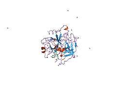 1uvs: BOVINE THROMBIN--BM51.1011 COMPLEX