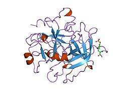 1vr1: Specificity for Plasminogen Activator Inhibitor-1