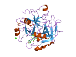 1vzq: COMPLEX OF THROMBIN WITH DESIGNED INHIBITOR 7165