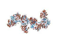 1w1i: CRYSTAL STRUCTURE OF DIPEPTIDYL PEPTIDASE IV (DPPIV OR CD26) IN COMPLEX WITH ADENOSINE DEAMINASE