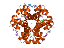 1w8p: STRUCTURAL PROPERTIES OF THE B25TYR-NME-B26PHE INSULIN MUTANT.