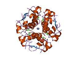 1wav: CRYSTAL STRUCTURE OF FORM B MONOCLINIC CRYSTAL OF INSULIN