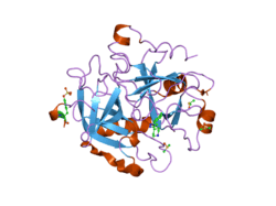 1way: ACTIVE SITE THROMBIN INHIBITORS