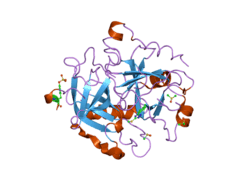1wbg: ACTIVE SITE THROMBIN INHIBITORS