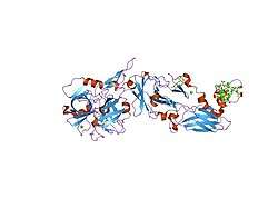 1wqv: Human Factor Viia-Tissue Factor Complexed with propylsulfonamide-D-Thr-Met-p-aminobenzamidine