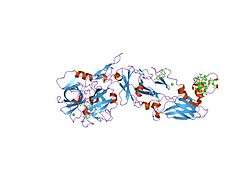 1wss: Human Factor Viia-Tissue Factor in Complex with peprid mimetic inhibitor that has two charge groups in P2 and P4