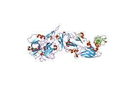 1wun: Human Factor Viia-Tissue Factor Complexed with ethylsulfonamide-D-Trp-Gln-p-aminobenzamidine