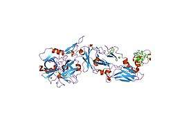 1wv7: Human Factor Viia-Tissue Factor Complexed with ethylsulfonamide-D-5-propoxy-Trp-Gln-p-aminobenzamidine