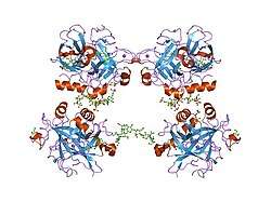 1xmn: Crystal structure of thrombin bound to heparin