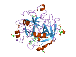 1ype: Thrombin Inhibitor Complex