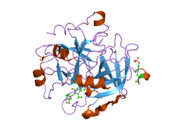 1ypg: Thrombin Inhibitor Complex
