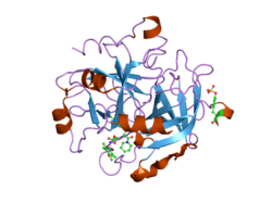 1ypk: Thrombin Inhibitor Complex