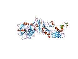 1z6j: Crystal Structure of a ternary complex of Factor VIIa/Tissue Factor/Pyrazinone Inhibitor