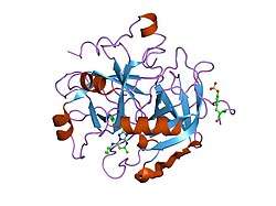 1zgv: Thrombin in complex with an oxazolopyridine inhibitor 2